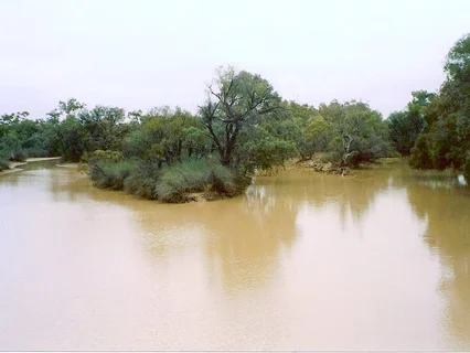 Paroo River
