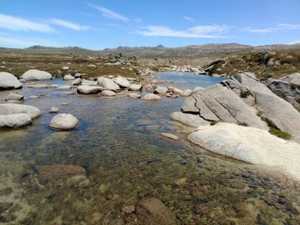 Snowy River