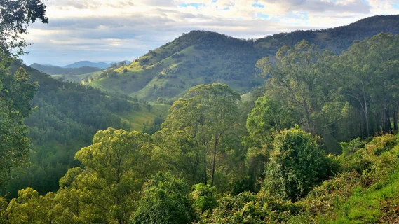 Barrington Tops